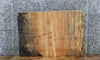 Thumbnail for Spalted Maple Live Edge End/Coffee Table Slab 14417