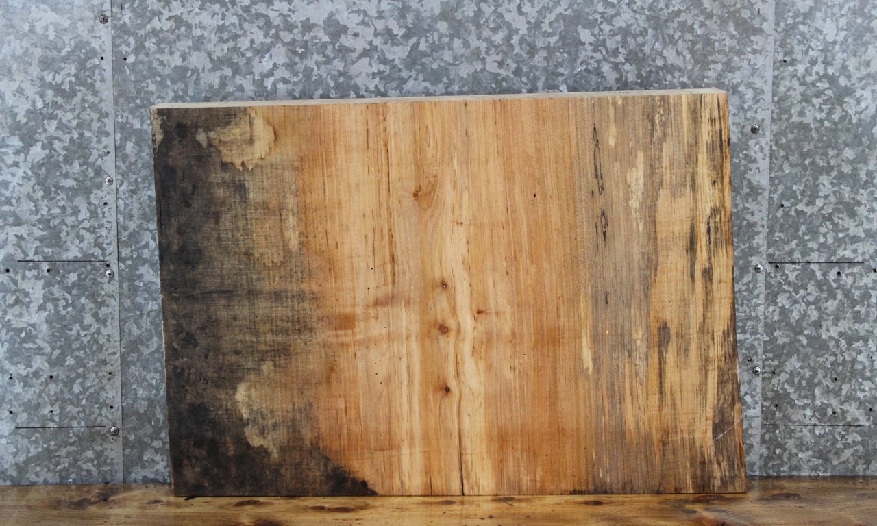 Spalted Maple Live Edge End/Coffee Table Slab 14417