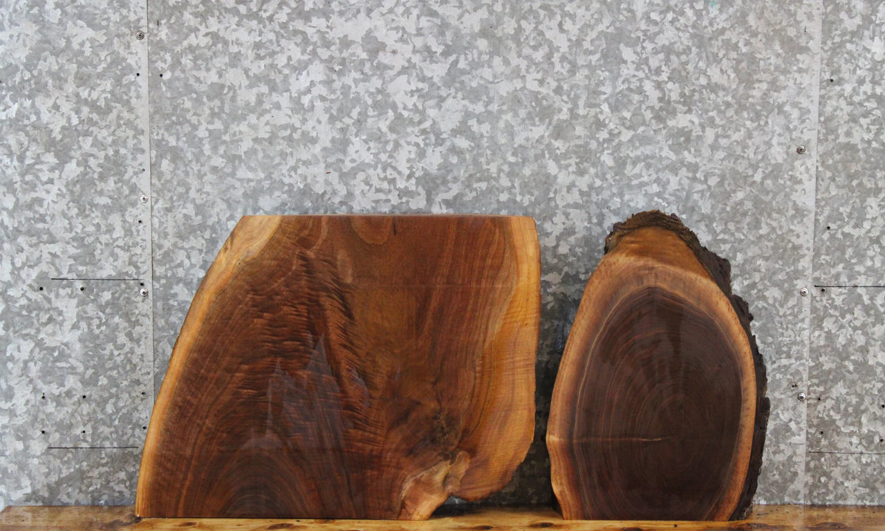 2- Black Walnut Live Edge Charcuterie/Taxidermy Slabs 14419-14420