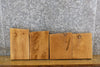 Thumbnail for 4- Kiln Dried Salvaged White Oak Taxidermy Bases/Lumber Pack 14419-14422