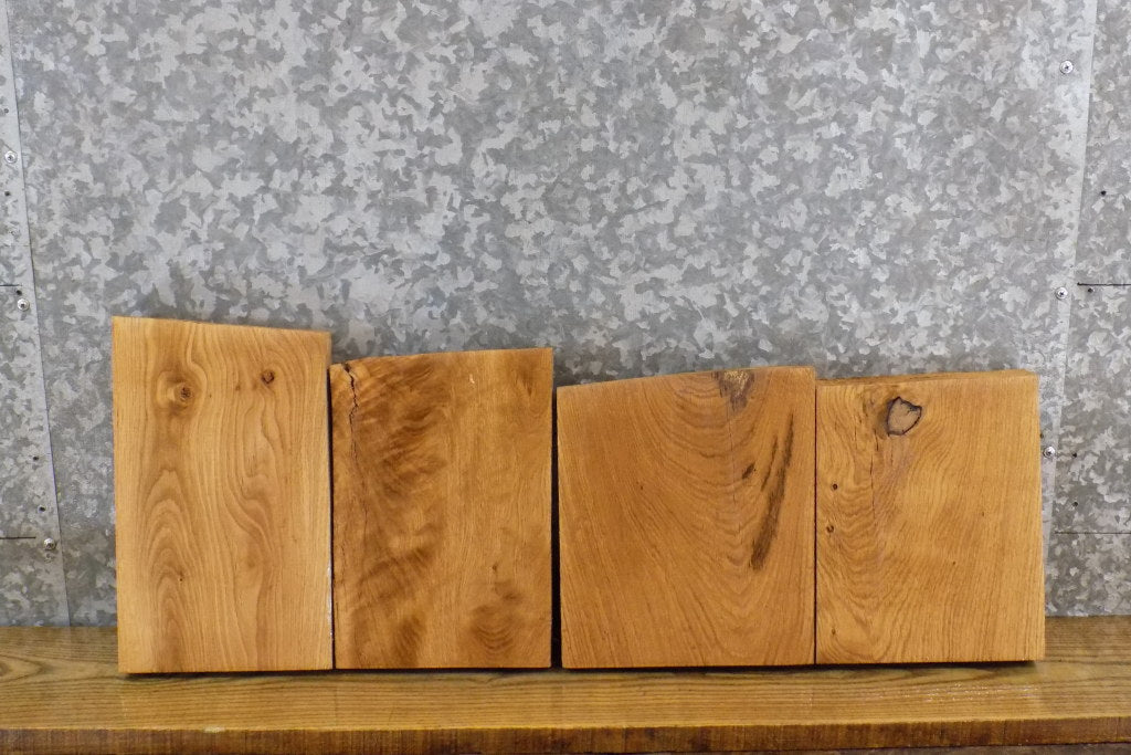 4- Kiln Dried Salvaged White Oak Taxidermy Bases/Lumber Pack 14419-14422