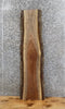 Thumbnail for Live Edge Black Walnut Wall Shelf/Mantle/Accent Table Top Slab 1441