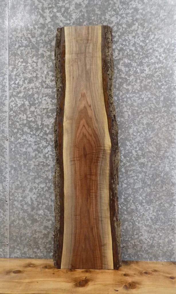 Live Edge Black Walnut Wall Shelf/Mantle/Accent Table Top Slab 1441