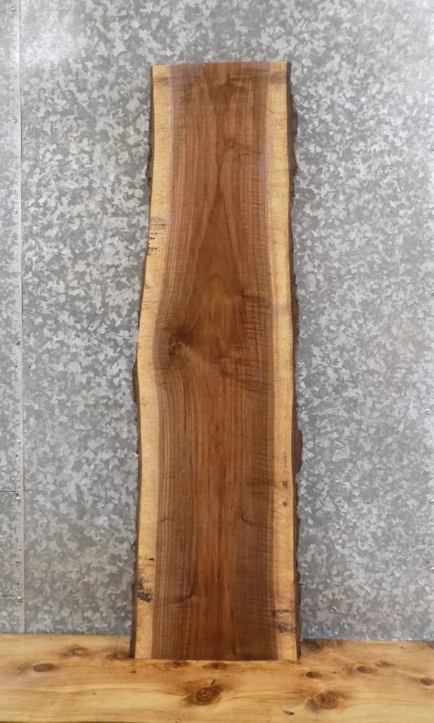 Live Edge Black Walnut Wall Shelf/Mantle/Accent Table Top Slab 1441