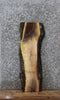 Thumbnail for Walnut Live Edge Charcuterie/Taxidermy Slab 1441