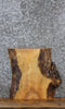 Thumbnail for Live Edge Ash Charcuterie Board/End Table Top Slab 14422