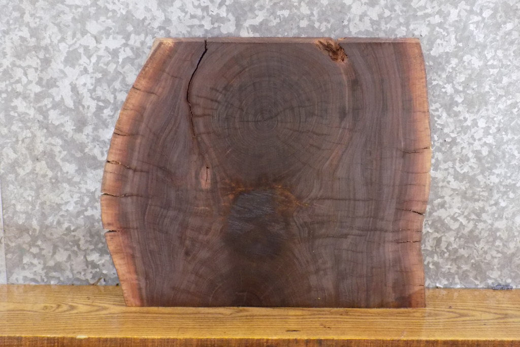 Salvaged Live Edge Black Walnut Bread/Cutting Board Slab 14427