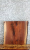 Thumbnail for Live Edge Black Walnut Charcuterie/End Table Top Slab 14430