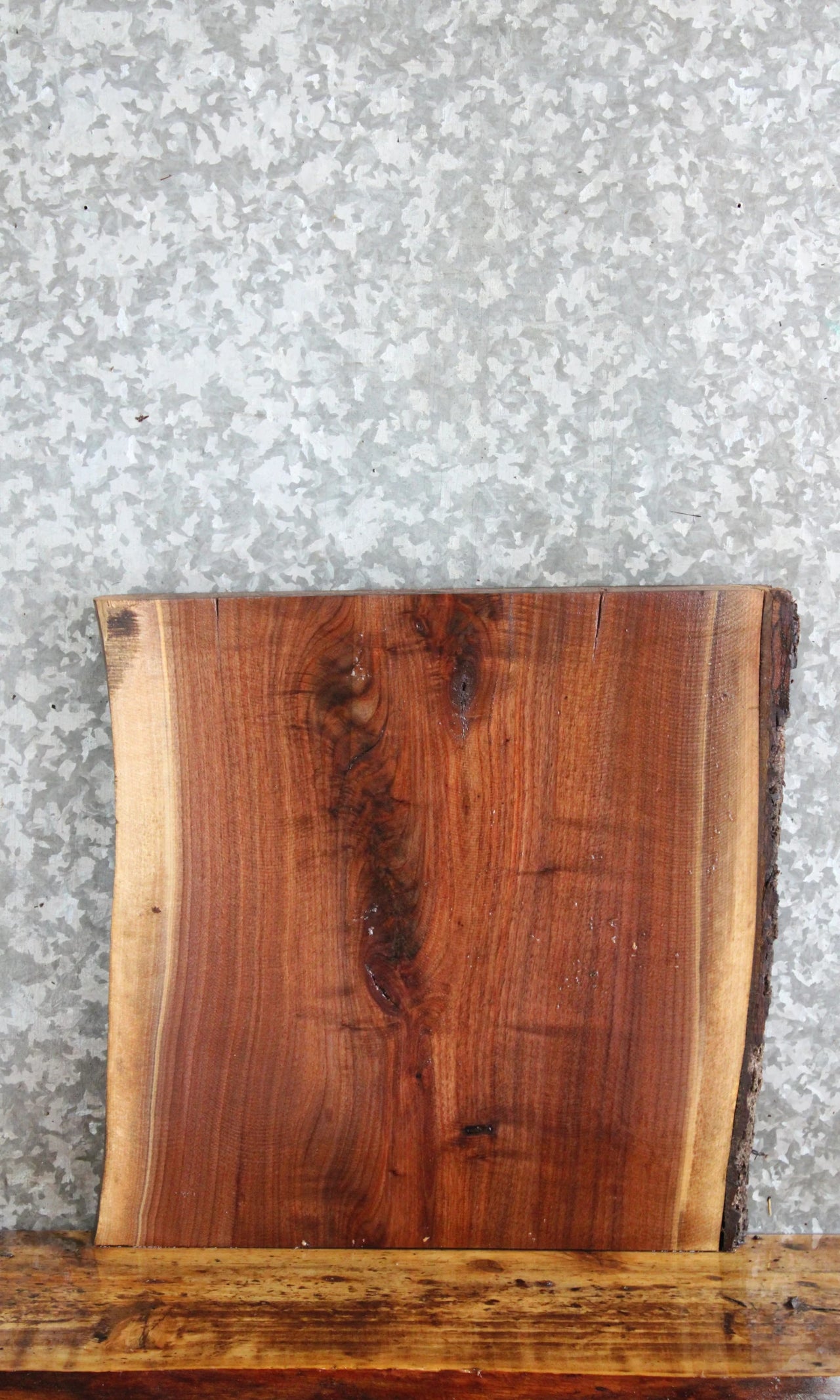 Live Edge Black Walnut Charcuterie/End Table Top Slab 14430