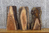 Thumbnail for 3- Live Edge Black Walnut Reclaimed Craft Pack/Taxidermy Bases 14431,14438-14439