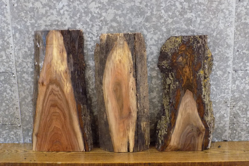 3- Live Edge Black Walnut Reclaimed Craft Pack/Taxidermy Bases 14431,14438-14439