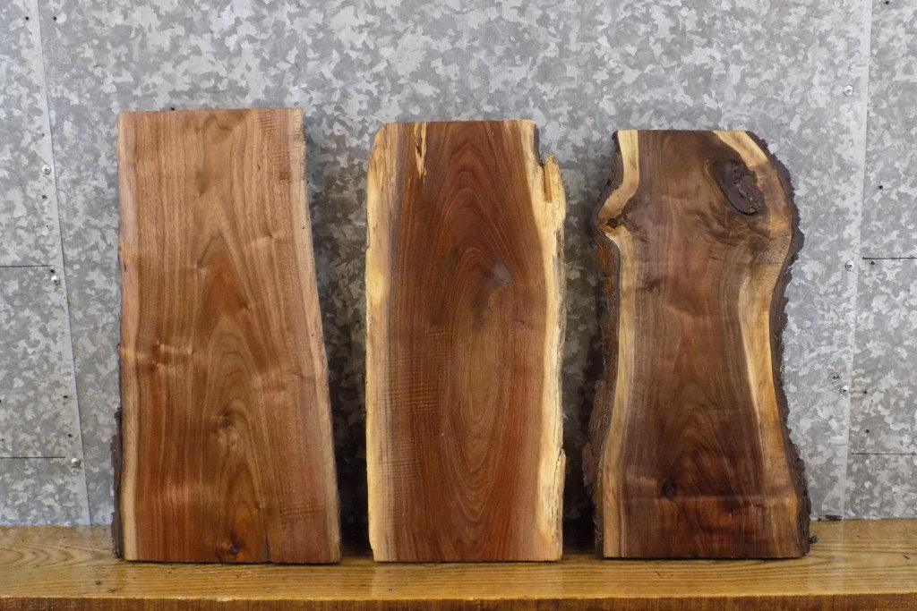 3- Live Edge Black Walnut Reclaimed Craft Pack/Taxidermy Bases 14431,14438-14439