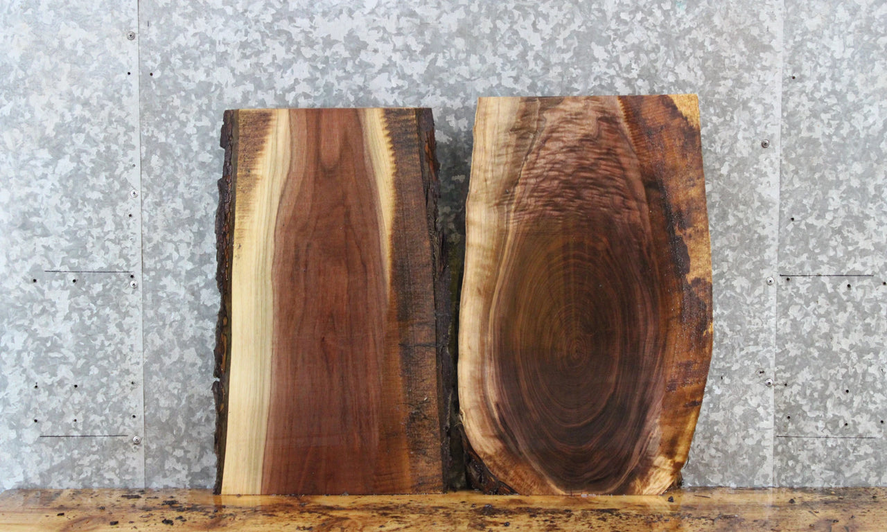 2- Live Edge Black Walnut End Table Top/Charcuterie Board Slabs 14436-14437