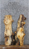 Thumbnail for 2- Knotty Pine Live Edge Charcuterie/Taxidermy Slabs 1445-1446