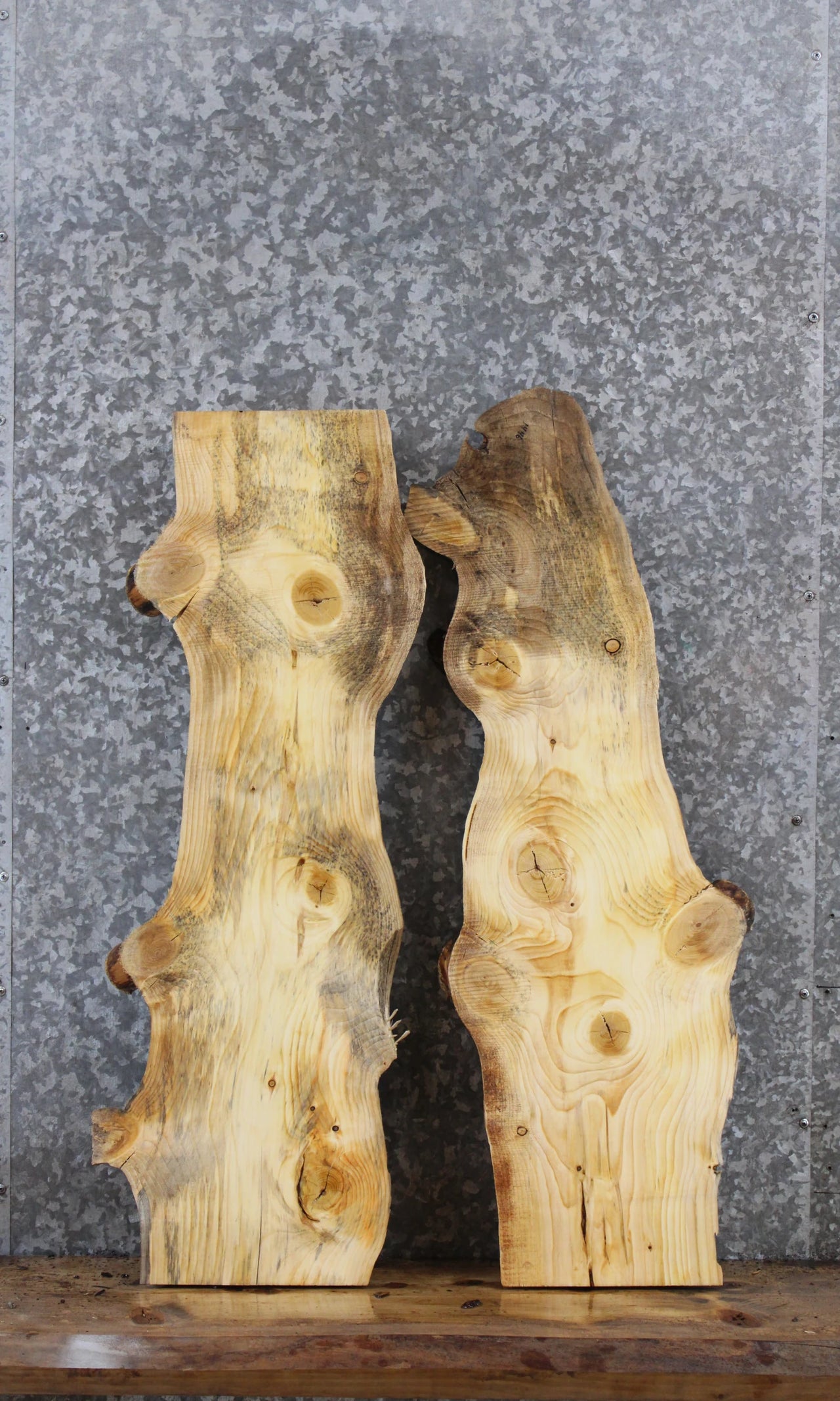 2- Knotty Pine Live Edge Charcuterie/Taxidermy Slabs 1445-1446