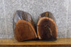 Thumbnail for 2- Rustic Black Walnut Live Edge Oval Cut Craft Pack CLOSEOUT 14452-14453