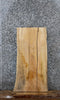 Thumbnail for Ash Live Edge End Table/Coffee Table Slab 1447