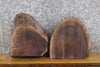 Thumbnail for 2- Live Edge Black Walnut Craft Pack/Taxidermy Base Slab CLOSEOUT 14494-14495