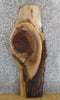 Thumbnail for Rustic Live Edge Black Walnut Sofa/Coffee Table Top Slab 1449
