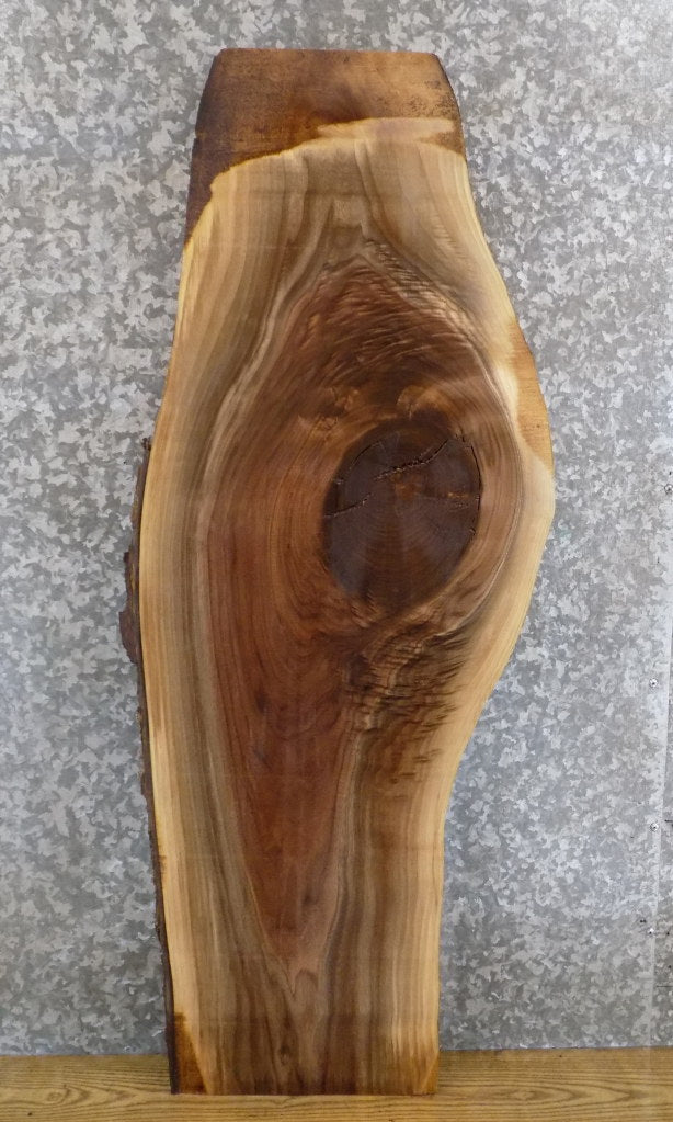 Rustic Live Edge Black Walnut Sofa/Coffee Table Top Slab 1449