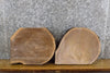 Thumbnail for 2- Rustic Partial Live Edge Round Cut Black Walnut Craft Pack 14518-14519