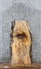 Thumbnail for Spalted Maple Live Edge Bench/End Table Slab 1451