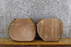 Thumbnail for 2- Black Walnut Salvaged Partial Live Edge Round Cut Craft Pack 14526-14527