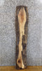 Thumbnail for Live Edge Black Walnut Rustic Floating Shelf Wood Slab 1452