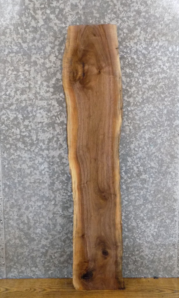 Live Edge Black Walnut Rustic Floating Shelf Wood Slab 1452
