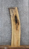 Thumbnail for Spalted Maple Live Edge Shelf Slab 1452