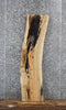 Thumbnail for Spalted Maple Live Edge Shelf Slab 1452