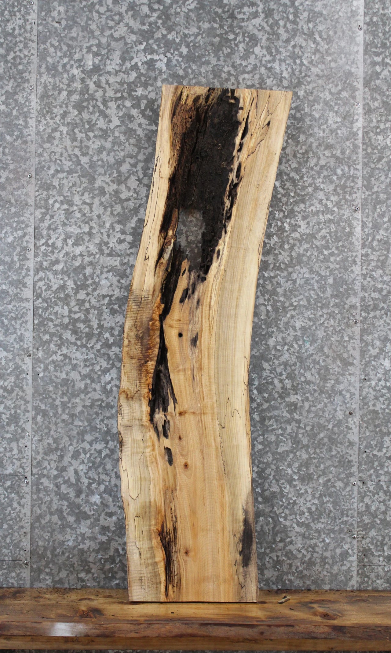 Spalted Maple Live Edge Shelf Slab 1452