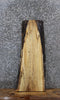 Thumbnail for Spalted Maple Live Edge Charcuterie/Shelf Slab 1453