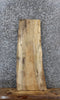Thumbnail for Spalted Maple Live Edge Charcuterie/Shelf Slab 1453