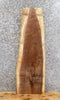 Thumbnail for Live Edge Black Walnut End Table Top/Mantle/Bar Top Slab 1456