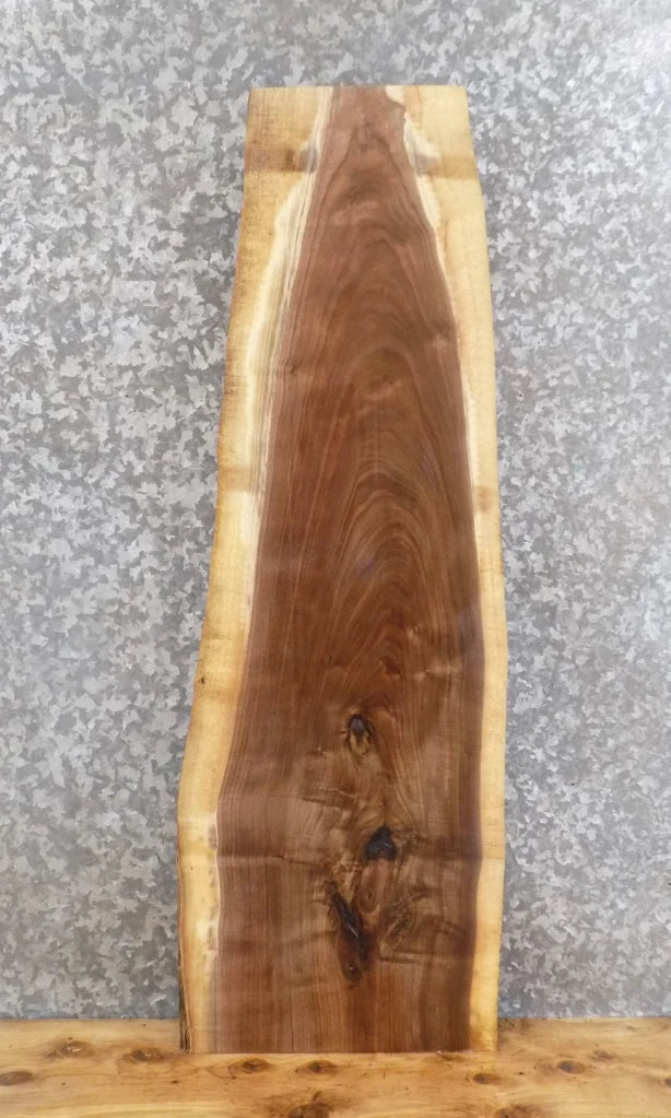 Live Edge Black Walnut End Table Top/Mantle/Bar Top Slab 1456