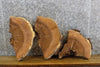 Thumbnail for 3- Live Edge White Oak Rustic Craft Pack/Epoxy Project Slabs 14583-14585