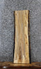 Thumbnail for Spalted Maple Live Edge Charcuterie/Shelf Slab 1459