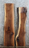 Thumbnail for 2- Live Edge Black Walnut Wall Shelves/ Side Table Tops 1460-1461