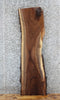 Thumbnail for Live Edge Black Walnut Side/Console Table Top Slab 1460
