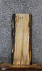 Thumbnail for Spalted Maple Live Edge Charcuterie/Shelf Slab 1463