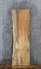 Thumbnail for Spalted Maple Live Edge Shelf/End Table Slab 1466
