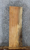 Thumbnail for Spalted Maple Live Edge Shelf/End Table Slab 1466
