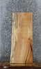 Thumbnail for Spalted Maple Live Edge Shelf/End Table Slab 1467