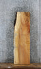 Thumbnail for Maple Live Edge Bench/Shelf/Coffee Table Slab 1468