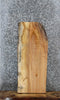 Thumbnail for Maple Live Edge Shelf/End Table Slab 1469