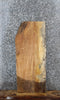 Thumbnail for Maple Live Edge Shelf/End Table Slab 1469