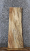 Thumbnail for Spalted Maple Live Edge Bench/Shelf/End Table Slab 1470