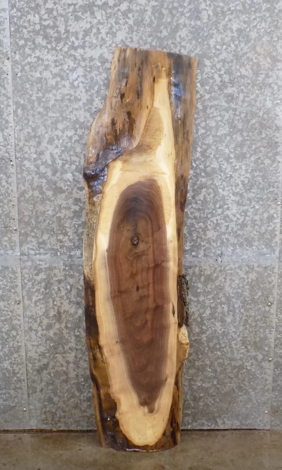 Salvaged Black Walnut Live Edge Coffee/Entry Table Wood Slab 1471