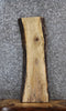 Thumbnail for Spalted Maple Live Edge Charcuterie/Shelf Slab 1473